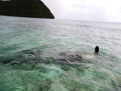 海に沈むゼロ戦
