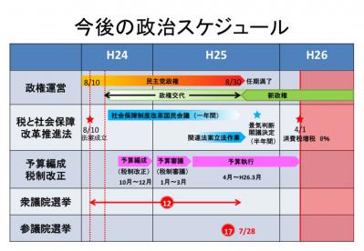 今後の政治スケジュール