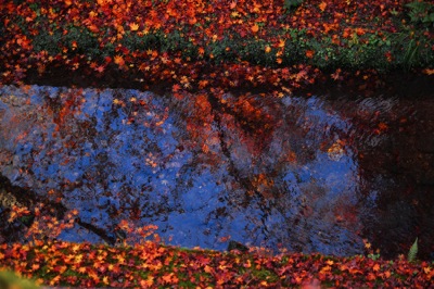 からくれなゐに水くくるとは