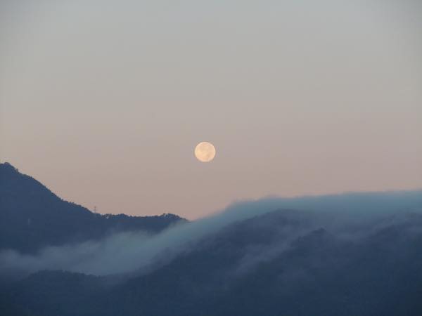 八百万の神々1227