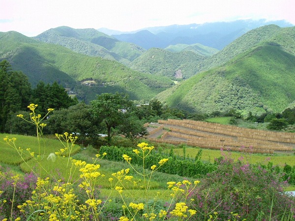 田舎の風景３月