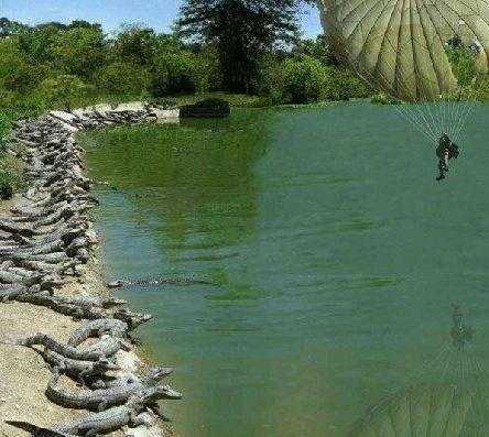 20120506 楽しい写真0505-41