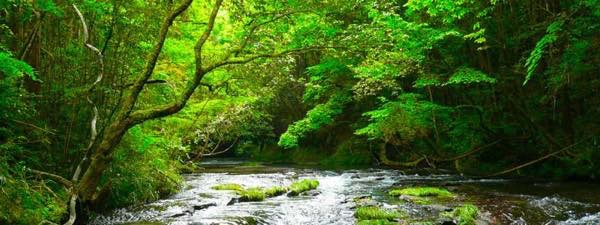 20150527 ６月の風景