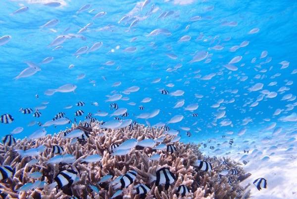 20150808 グアム