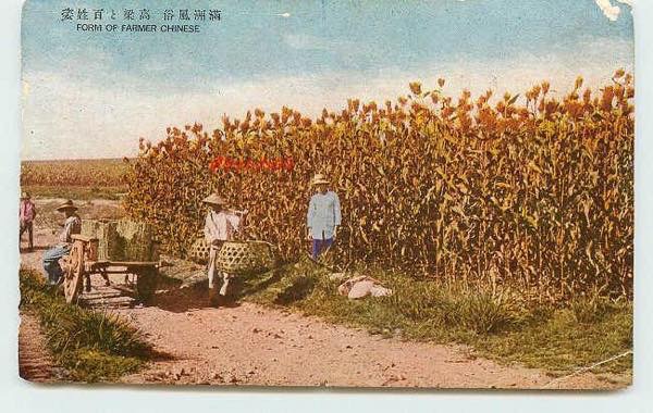 20150912 満州 高粱畑