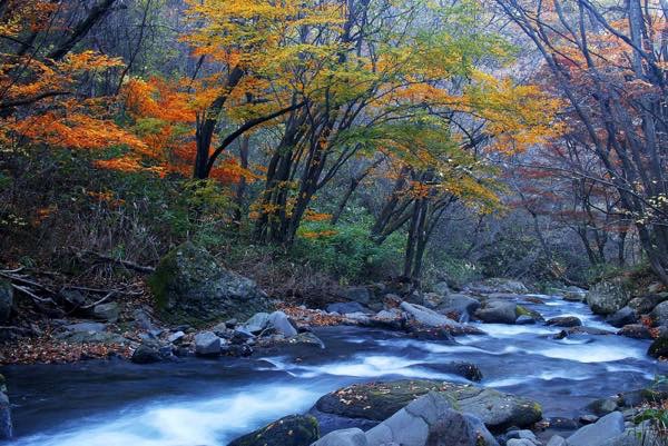 20151018 秋の景色