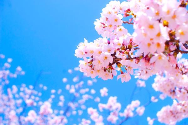 20160323 日本再生研究会