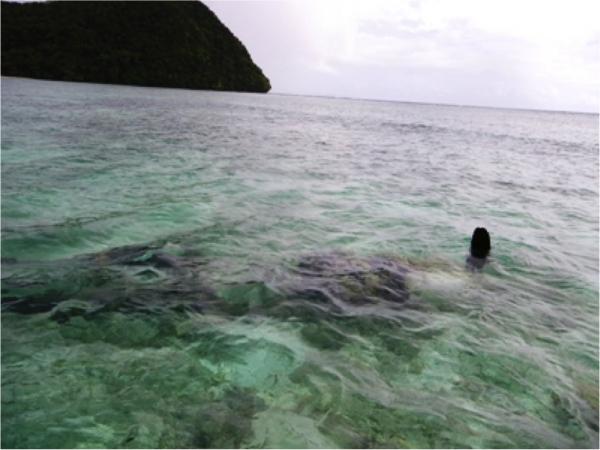 20160530 南海のパラオに眠るゼロ戦