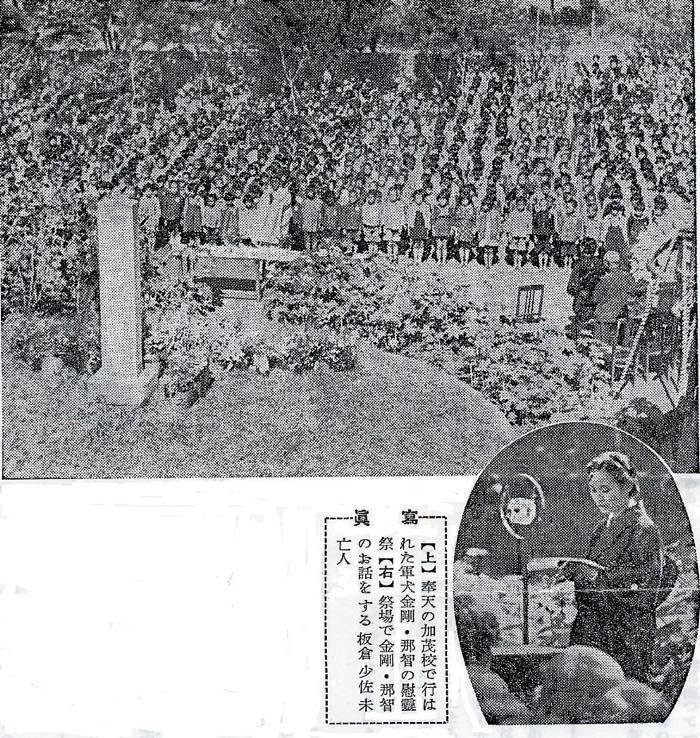 20160630 軍犬　金剛、那智