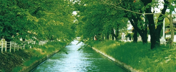 20160905 稲生川用水