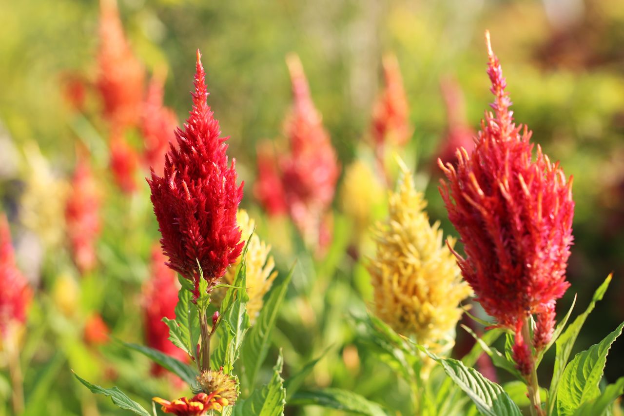 20160911 第３２回 倭塾