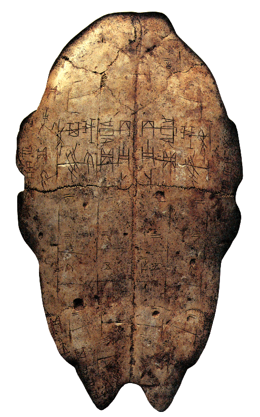 20160919 亀甲占い