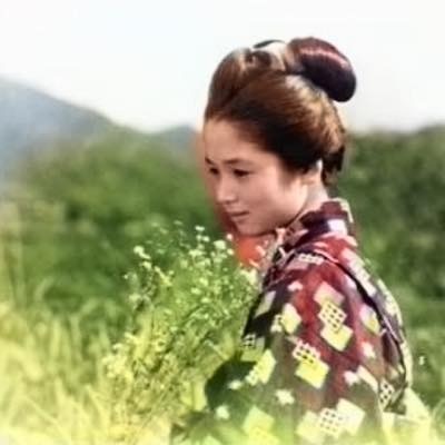 20161110 野菊の如き君なりき2