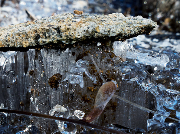 20170131 日本の風景