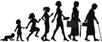 20170218 人の一生