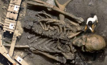 20171008 ネフィリム