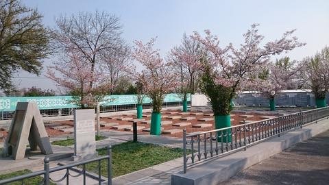 20180206 ウズベキスタン