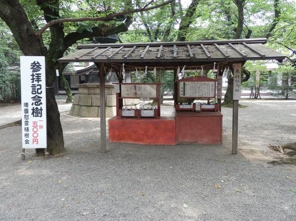 20180723 靖国参拝記念樹