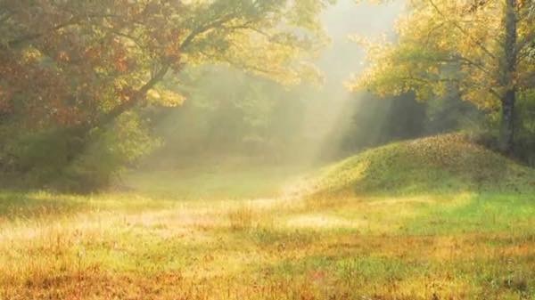 20180904 神さまのつくりたかった世界