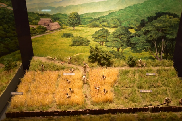 20190628 弥生ジオラマ