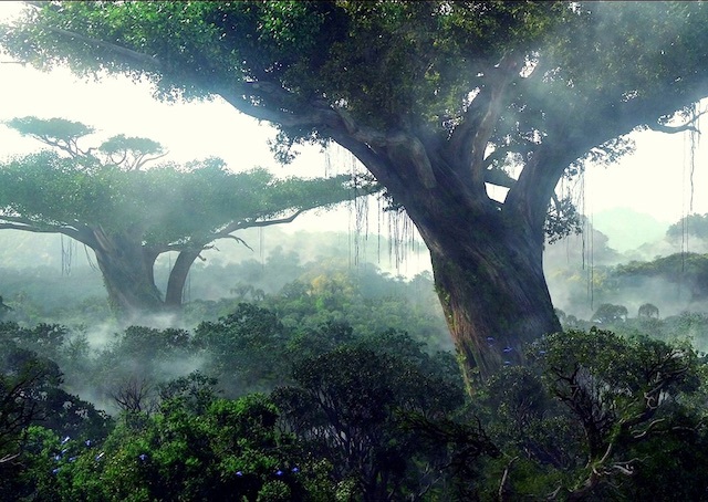 20191101 映画アバター