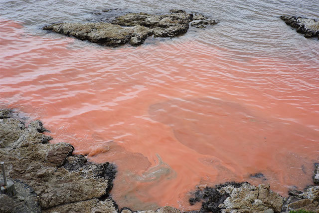 20200121 ダム湖