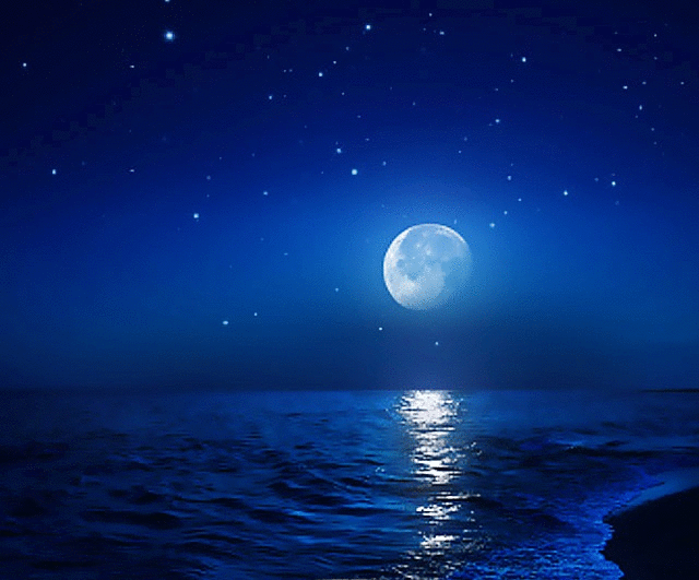 20200612 にぎたづに