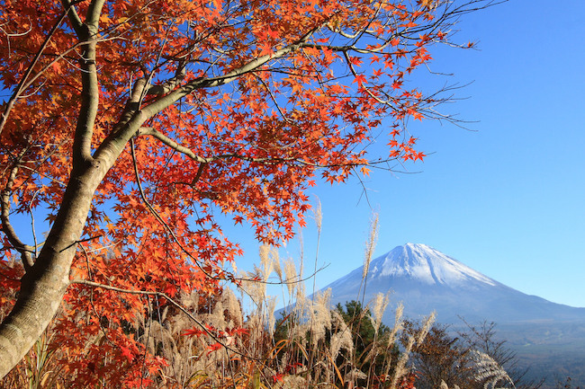 20121102 flickr-3037881706