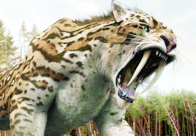 20200929 サーベルタイガー