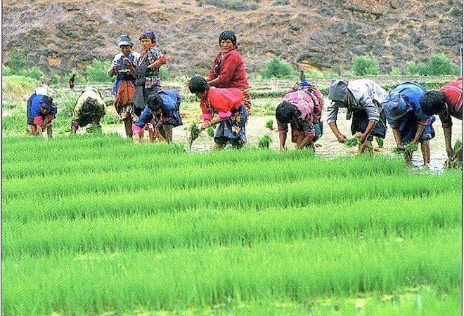 20210610 ブータン