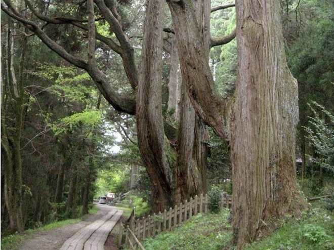 20210607 弊立神宮