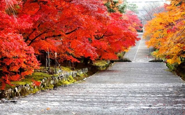 20210925 小倉山二尊院