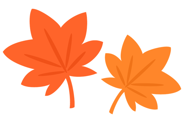 20211102 もみじ