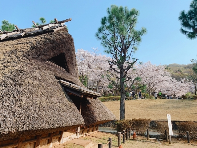 20240502 縄文時代